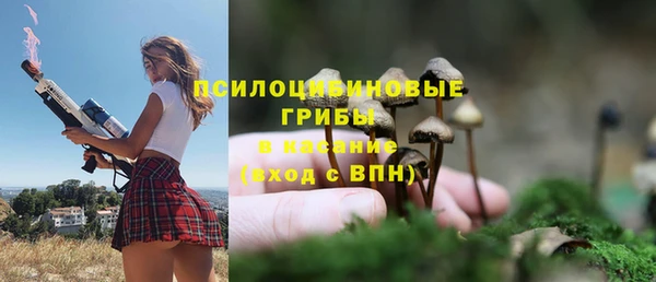 первитин Нягань