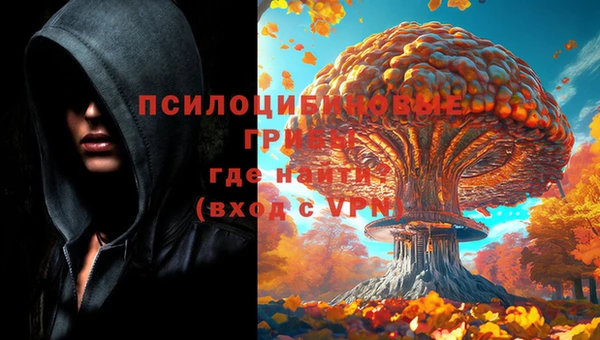 бошки Алексин