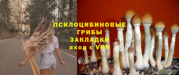 бошки Алексин