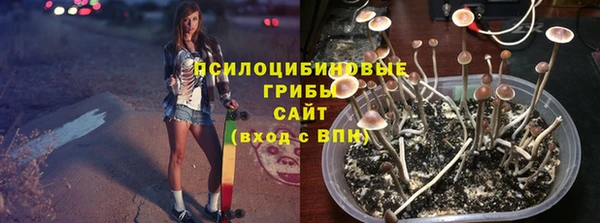 бошки Алексин